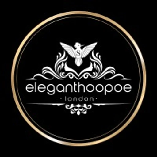 elegant hoopoe
