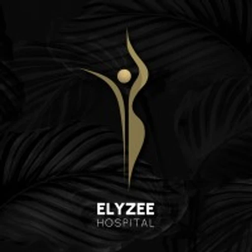 Elyzee Hospital